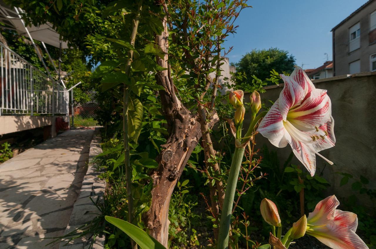 Apartment Vedrana Split Kültér fotó